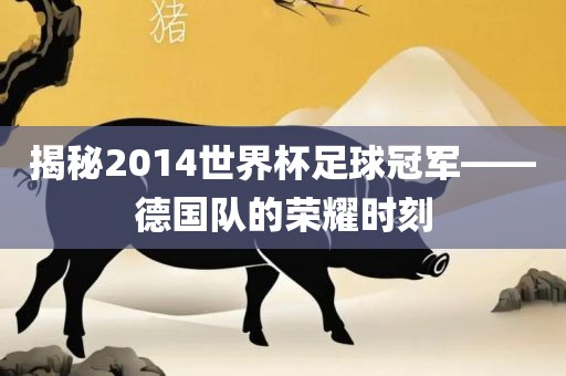 揭漯河市盈旭机械设备有限公司秘2014世界杯足球冠军——德国队的荣耀时刻