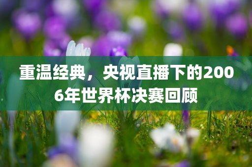 重温经典，央视直播下的2006年世界杯决赛回顾