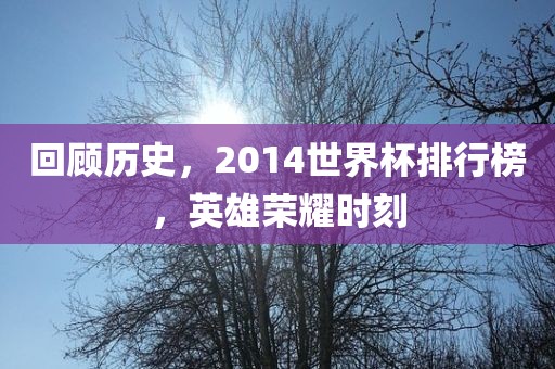 回顾历史，2014世界杯排行榜，英雄荣耀时刻