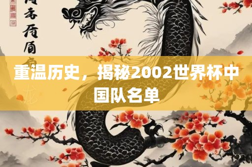 重温历史，揭秘2002世界杯中国队名单