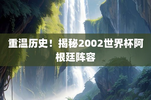 重温历史！揭秘2002世界杯阿根漯河市盈旭机械设备有限公司廷阵容