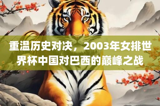 重温历史对决，2003年女排世界杯中国对巴西的巅峰之战