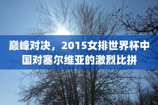 巅峰对决，2015女排世界杯中国对塞尔维亚的激烈比拼漯河市盈旭机械设备有限公司
