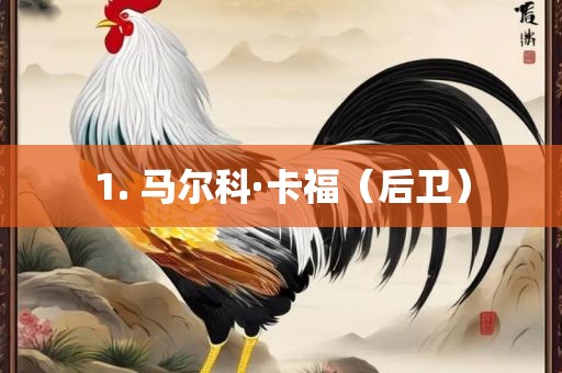 1. 漯河市盈旭机械设备有限公司马尔科·卡福（后卫）