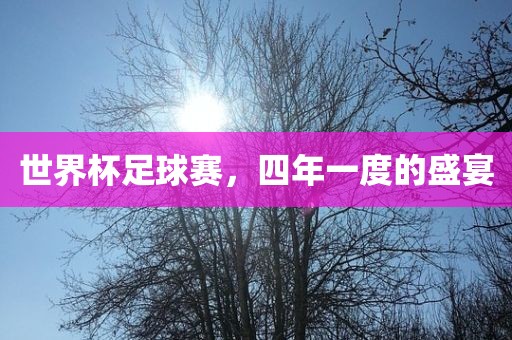 世界杯足球赛，四年一度的盛宴漯河市盈旭机械设备有限公司