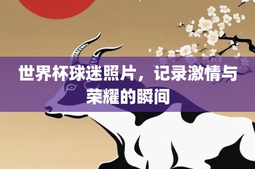世界杯球迷照片，记录激情与荣耀的瞬间