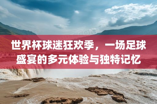 世界杯球迷狂欢季，一场足球盛宴的多元体验与独特记忆