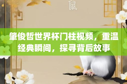 肇俊哲世界杯门柱视频，重温经典瞬间，探寻背后故事