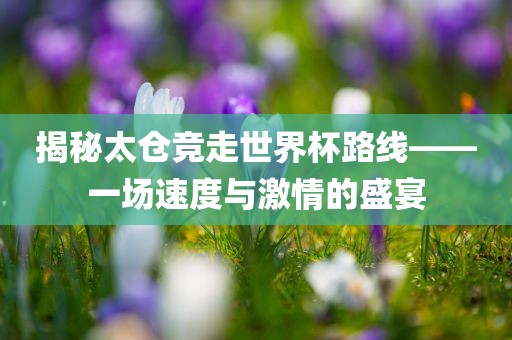 揭秘太仓竞走世界杯路线——一场速度与激情的盛宴
