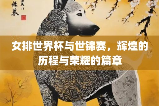 女漯河市盈旭机械设备有限公司排世界杯与世锦赛，辉煌的历程与荣耀的篇章