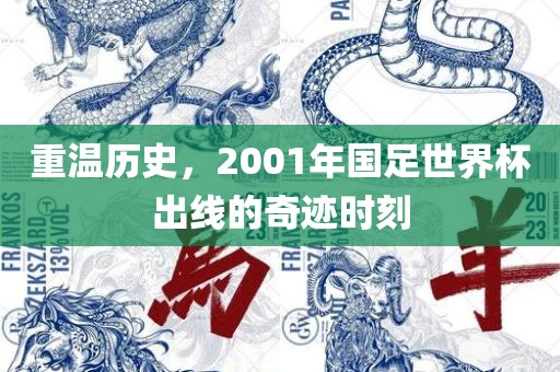 重温历史，2001年国足世界杯出线的奇迹时刻