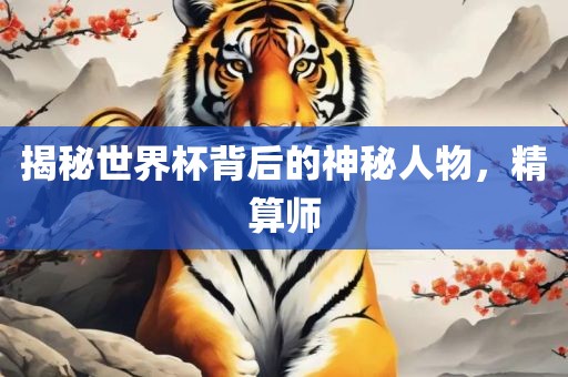 揭秘世界杯背后的神秘人物，精算师