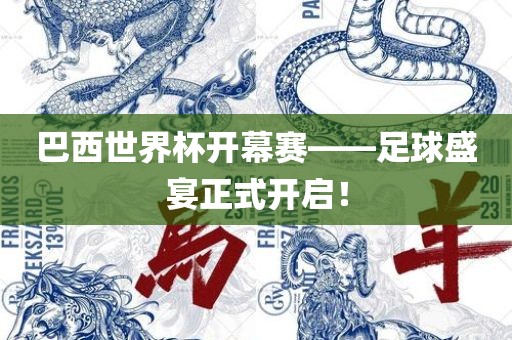 巴西世界杯开幕赛——足球盛宴正式开启！漯河市盈旭机械设备有限公司