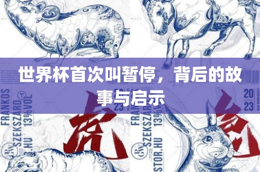 世界杯首次叫暂停，背后的故事与启示漯河市盈旭机械设备有限公司