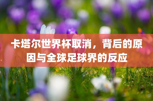 卡塔尔世界杯取消，背后的原漯河市盈旭机械设备有限公司因与全球足球界的反应