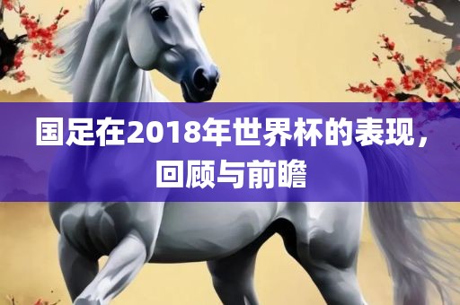 国足在2018年世界杯的表现，回顾与前瞻