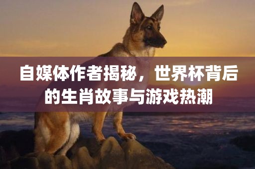 自媒体作者揭秘，世界杯背后的生漯河市盈旭机械设备有限公司肖故事与游戏热潮