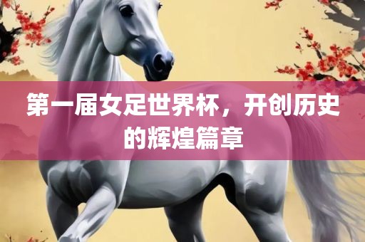 第一届女足世界杯，开创历史的辉煌篇章