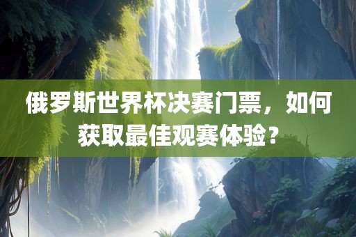 俄罗斯世界杯决赛门票，如何获取最佳观赛体验？
