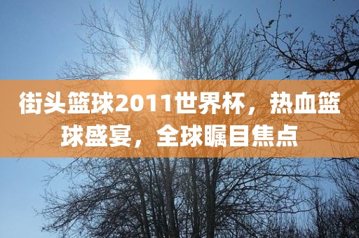 街头篮球2011世界杯，热血篮球盛宴，全球瞩目焦点漯河市盈旭机械设备有限公司