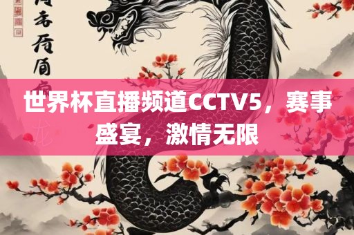 世界杯直播频道CCTV5，赛事盛宴，激情无限