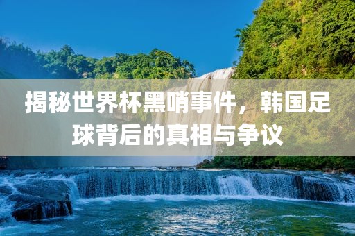 揭秘世界杯黑哨事件，韩国足球背后的真相与争议