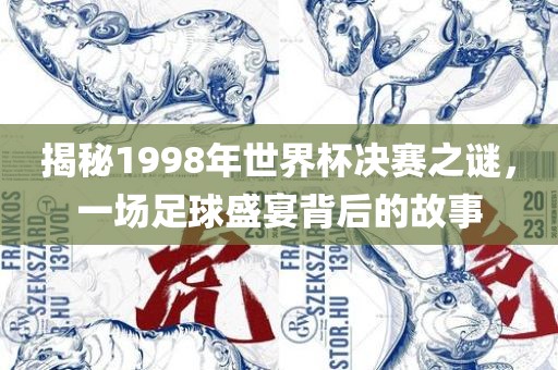揭秘1998年世界杯决赛之谜，一场足球盛宴背后的故事漯河市盈旭机械设备有限公司