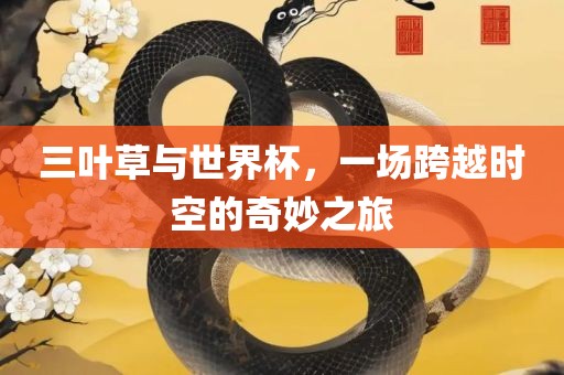 三叶草与世界杯，一场跨越时空的奇妙之旅