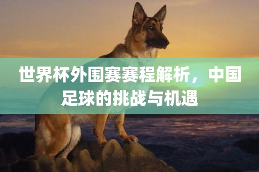 世界杯外围赛赛程解析，中国足球的挑战与机遇漯河市盈旭机械设备有限公司