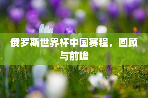 俄罗斯世界杯 第4页