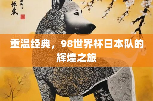 重温经典，98世界杯日本队的辉煌之旅漯河市盈旭机械设备有限公司