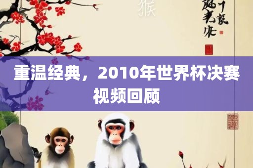 重温经典，2010年世界杯决赛视频回顾