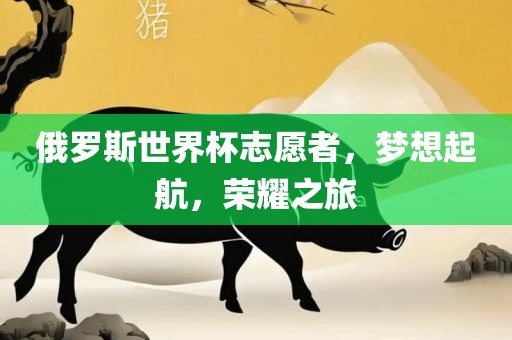 俄罗斯世界杯志愿者，梦想起航，荣耀之旅漯河市盈旭机械设备有限公司