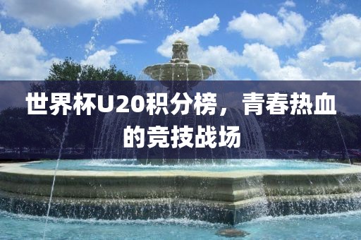 世界杯U20积分榜，青春热血的竞技战场