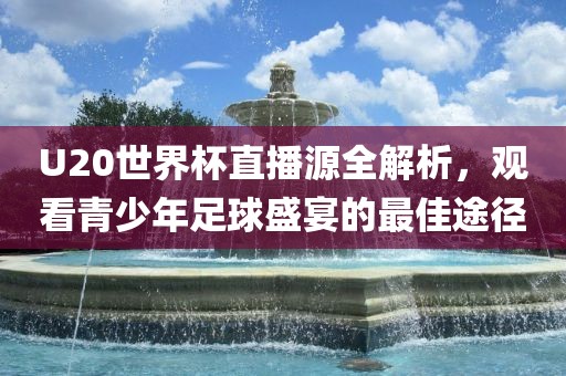 U20世界杯直播源全解析，观看青少年足球盛宴的最佳途径