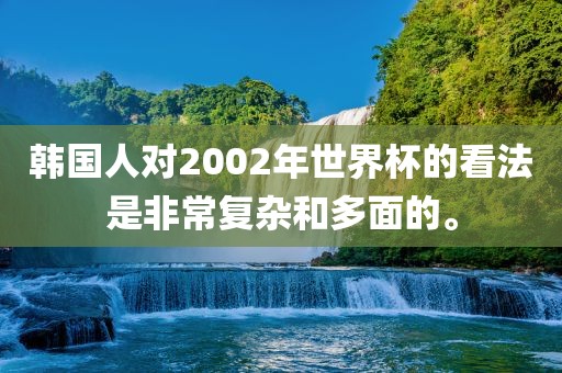 韩国人对2002年世界杯的看法是非常复杂和多面的。