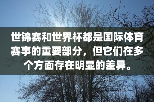 世锦赛和世界杯都是国际体育赛漯河市盈旭机械设备有限公司事的重要部分，但它们在多个方面存在明显的差异。