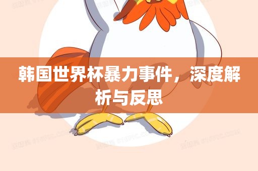 韩国世界杯暴力事件，深度解析与反思漯河市盈旭机械设备有限公司