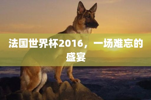 法国世界杯2016，一场难忘的盛宴