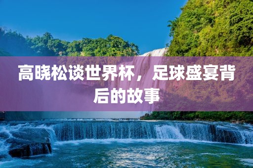 高晓松谈世界杯，足球盛宴背后的故事漯河市盈旭机械设备有限公司