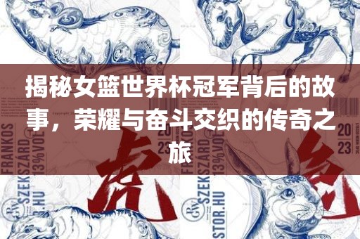 揭秘女篮世界杯冠军背后的故事，荣耀与奋斗交织的传奇之旅漯河市盈旭机械设备有限公司