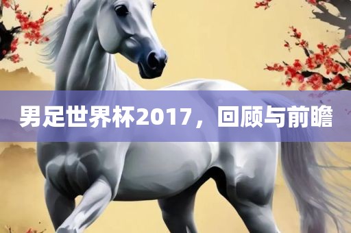 男足世界杯2017，回顾与前瞻漯河市盈旭机械设备有限公司