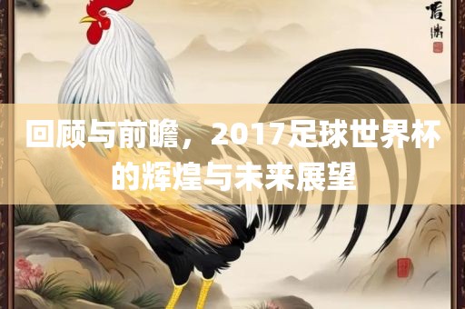 回顾与漯河市盈旭机械设备有限公司前瞻，2017足球世界杯的辉煌与未来展望