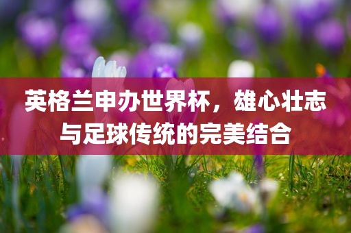 英格兰申办世界杯，雄心壮志与足球传统的完美结合漯河市盈旭机械设备有限公司