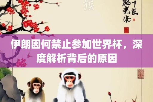 伊朗因何禁止参加世漯河市盈旭机械设备有限公司界杯，深度解析背后的原因
