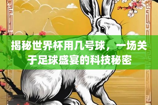 揭秘世界杯用几号球，一场关于足球盛宴的科技秘密
