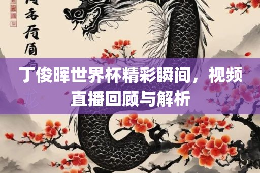 丁俊晖世界杯精彩瞬间，视频直播回顾与解析漯河市盈旭机械设备有限公司