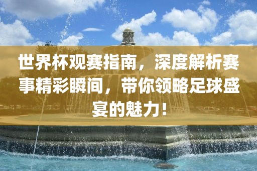 世界杯观赛指南，深度解析赛事精彩瞬间，带你领略足球盛宴的魅力！