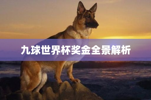 九球世界杯奖金全景解析