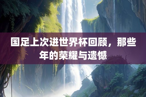 国足上次进世界杯回顾，那些年的荣耀与遗憾